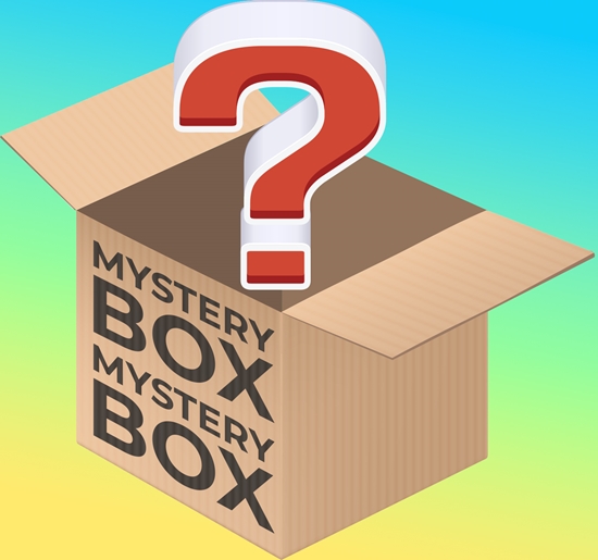 T-Shirt Mystery Box - Men